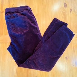 Dark Purple Velvet Skinny Pants